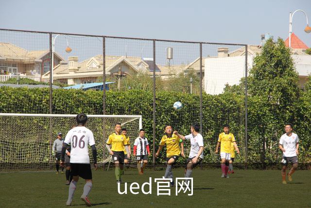 ued官网公司简介展示图